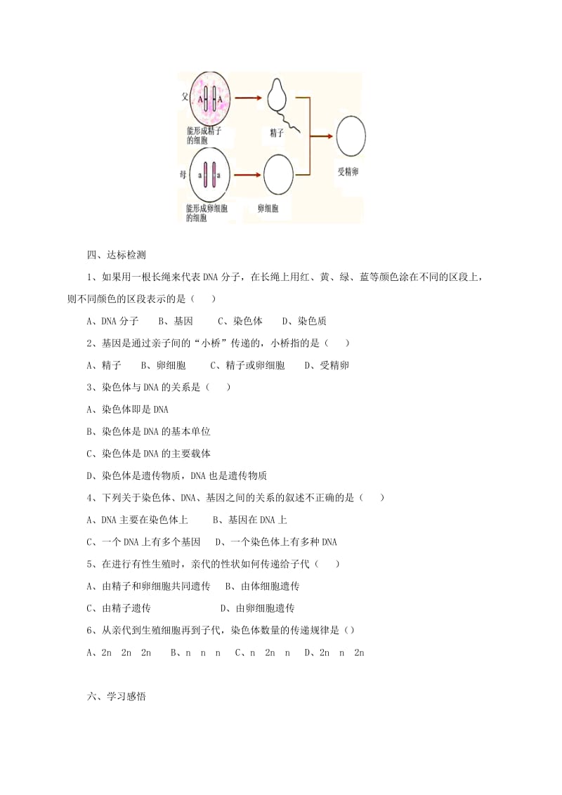 2019-2020年八年级生物下册7.2.2基因在亲子代间的传递学案1新版新人教版.doc_第3页