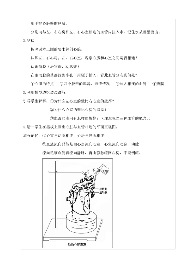 2019-2020年八年级生物 观察哺乳动物的心脏实验教案(12) 苏教版.doc_第2页