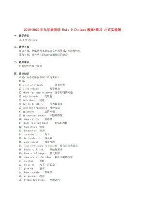 2019-2020年九年級(jí)英語(yǔ) Unit 9 Choices教案+練習(xí) 北京實(shí)驗(yàn)版.doc