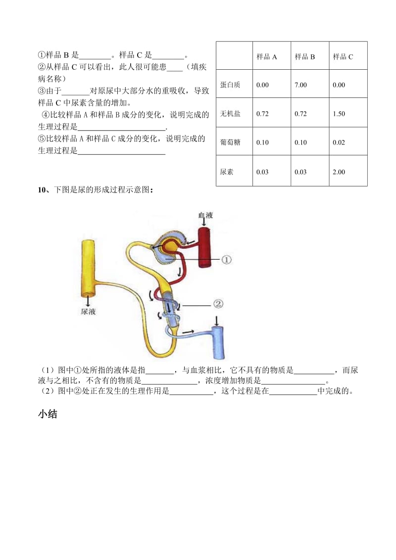 2019-2020年八年级生物 14．2人体废物的排出讲学案 苏科版.doc_第3页