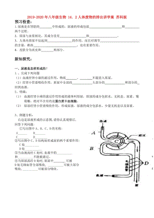 2019-2020年八年級生物 14．2人體廢物的排出講學(xué)案 蘇科版.doc