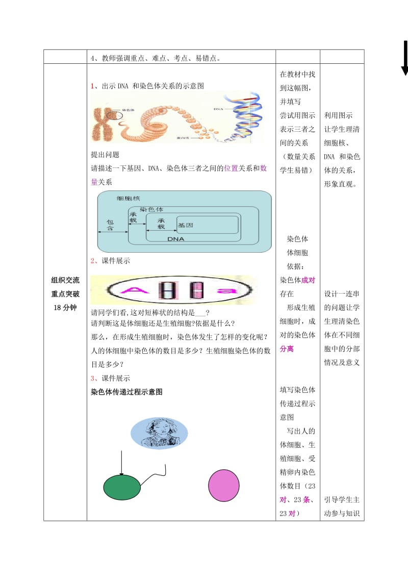 2019-2020年八年级生物下册 第7专题 生物的遗传和变异复习教案1 济南版.doc_第3页