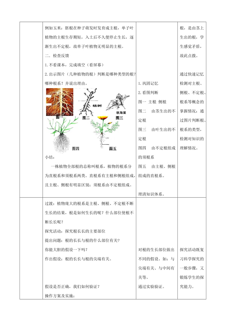 八年级生物上册 4.1.5《根的结构与功能》教案1 （新版）济南版.doc_第3页