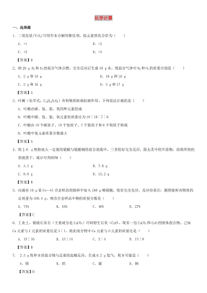 中考化學(xué)《化學(xué)計(jì)算》專題練習(xí)卷.doc