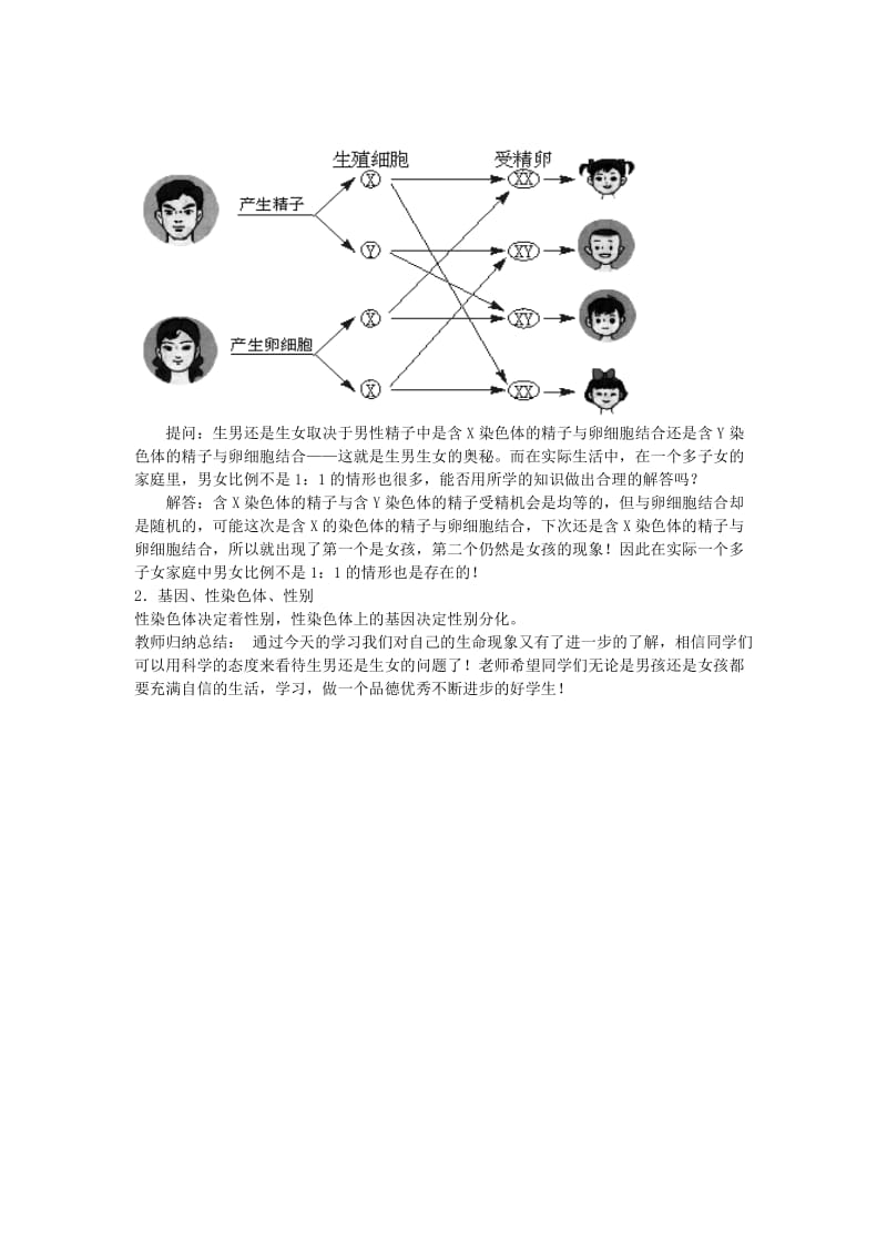 2019-2020年八年级生物上册 15.3《人的性别遗传》教案 苏教版.doc_第2页