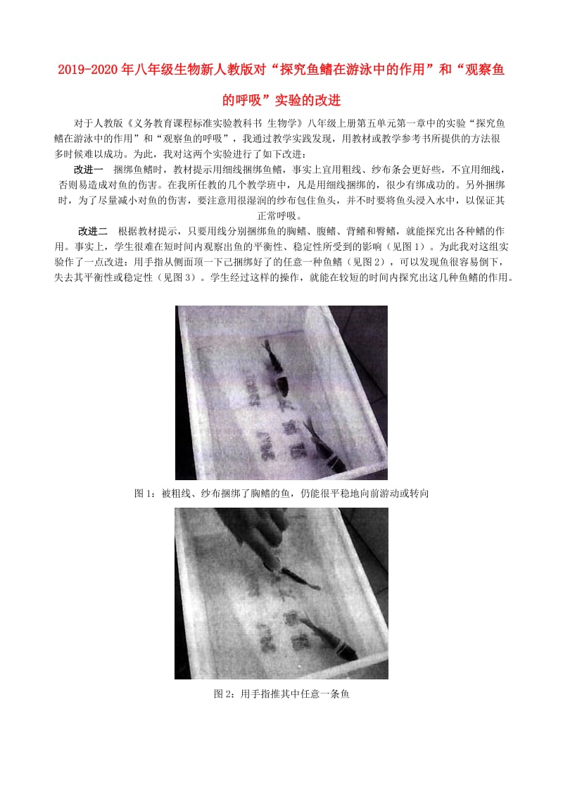 2019-2020年八年级生物新人教版对“探究鱼鳍在游泳中的作用”和“观察鱼的呼吸”实验的改进.doc_第1页