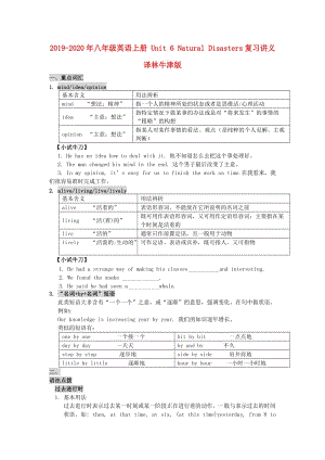 2019-2020年八年級(jí)英語(yǔ)上冊(cè) Unit 6 Natural Disasters復(fù)習(xí)講義 譯林牛津版.doc