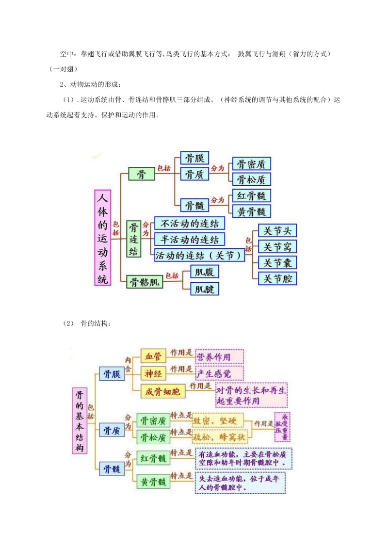 2019-2020年八年级生物上册第五单元生物圈中的动物和微生物知识点归纳1北师大版.doc_第3页