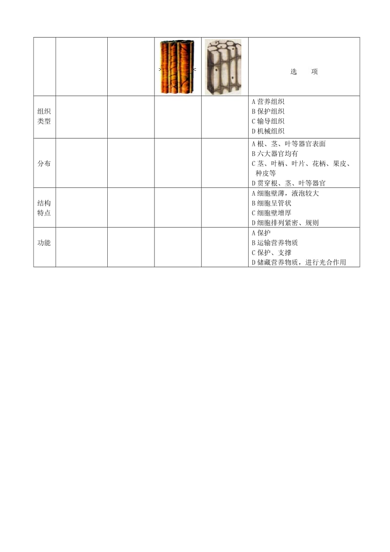 2019版七年级生物上册 2.2.3植物体的结构层次探究提纲 （新版）新人教版.doc_第2页