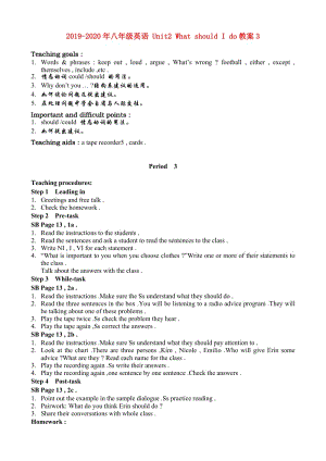 2019-2020年八年級英語 Unit2 What should I do教案3.doc