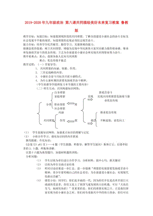 2019-2020年九年級(jí)政治 第八課共同描繪美好未來復(fù)習(xí)教案 魯教版.doc