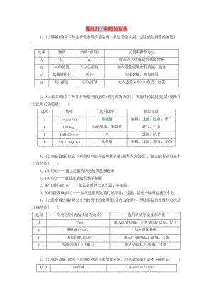 廣東省中考化學(xué)總復(fù)習(xí) 課時(shí)21 物質(zhì)的除雜練習(xí).doc