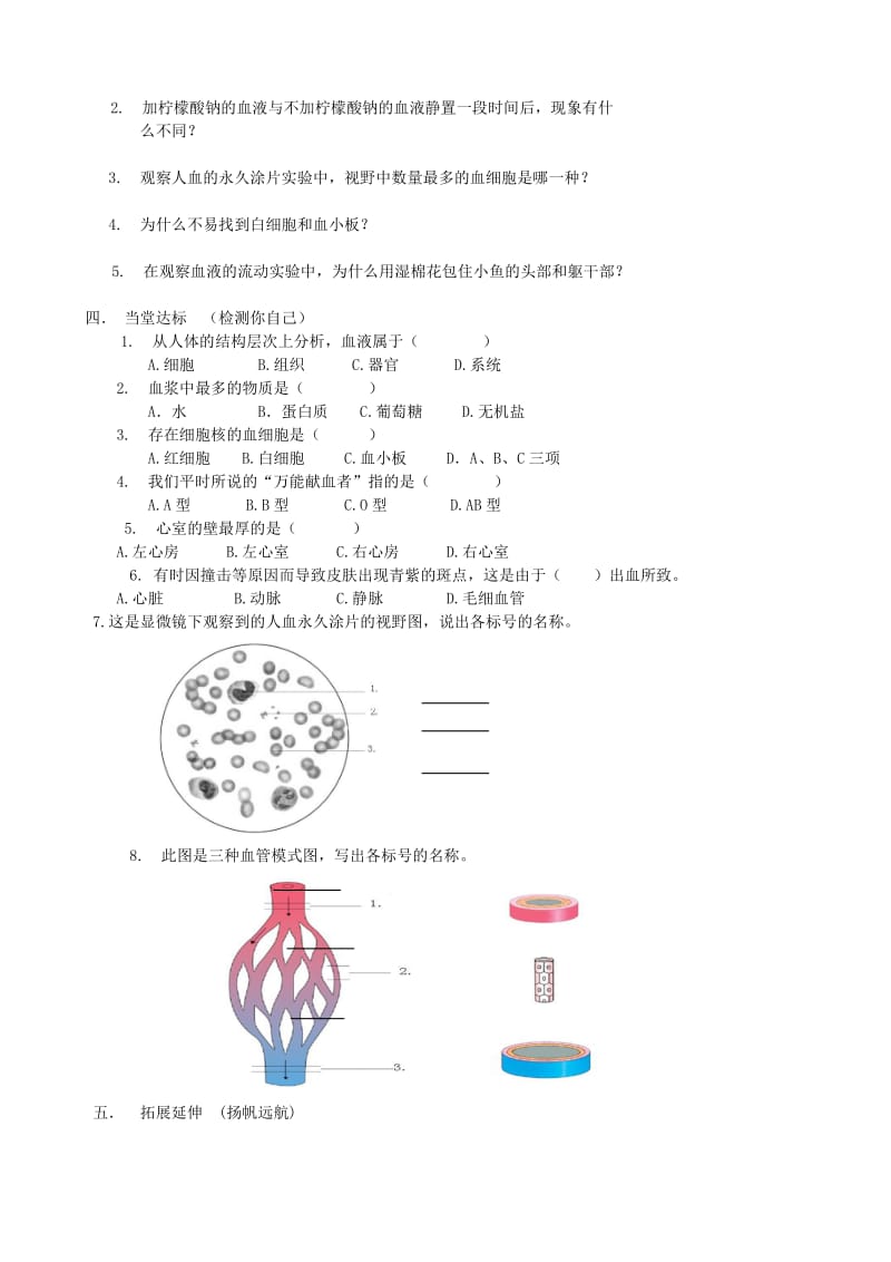 2019-2020年九年级生物《第二节物质运输的器官 》学案.doc_第2页