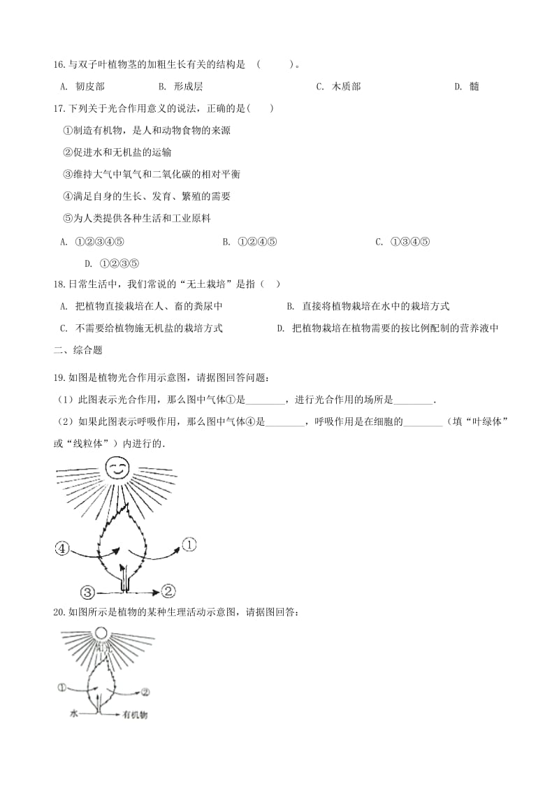 2019年中考生物绿色植物的生活专题复习无答案.doc_第3页