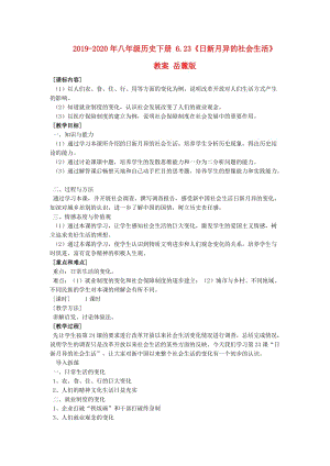 2019-2020年八年級(jí)歷史下冊(cè) 6.23《日新月異的社會(huì)生活》教案 岳麓版.doc