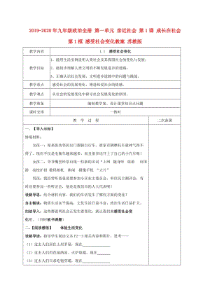 2019-2020年九年級(jí)政治全冊(cè) 第一單元 親近社會(huì) 第1課 成長(zhǎng)在社會(huì) 第1框 感受社會(huì)變化教案 蘇教版.doc