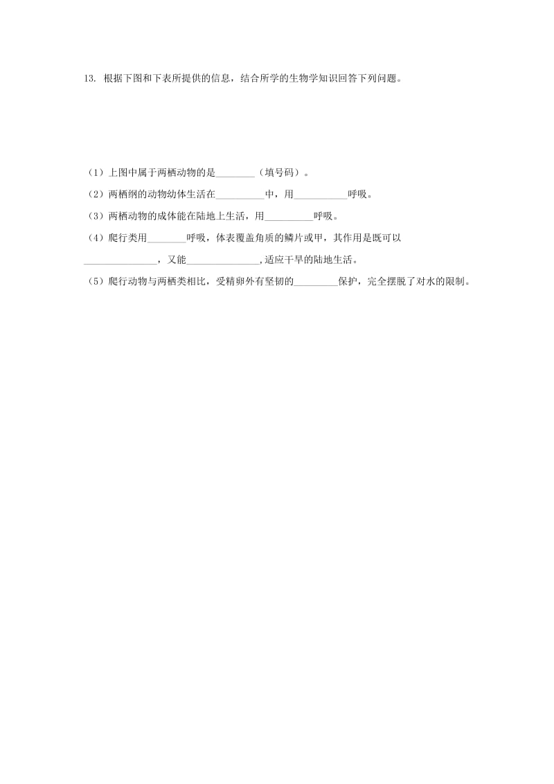 2019-2020年八年级生物上册5.1.5两栖动物和爬行动物练习新版新人教版.doc_第3页