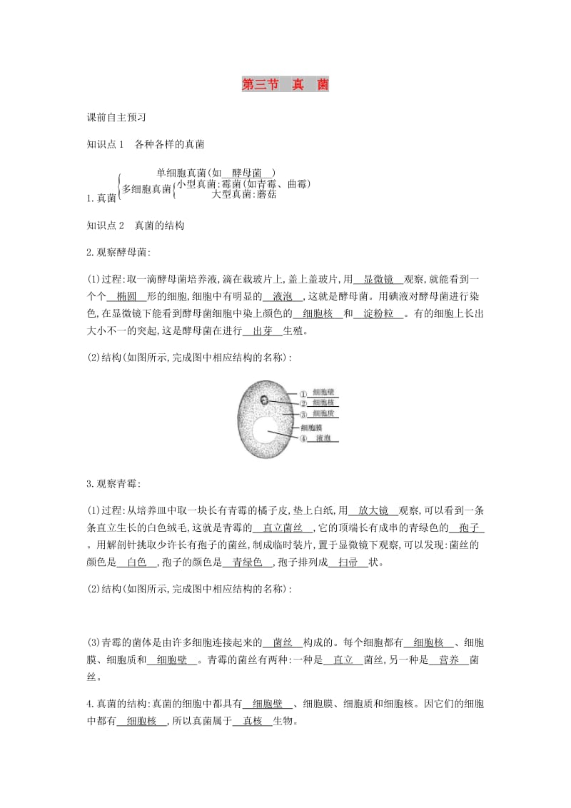 八年级生物上册5.4.3真菌学案 新人教版.doc_第1页