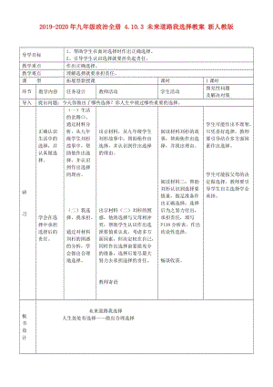 2019-2020年九年級政治全冊 4.10.3 未來道路我選擇教案 新人教版.doc