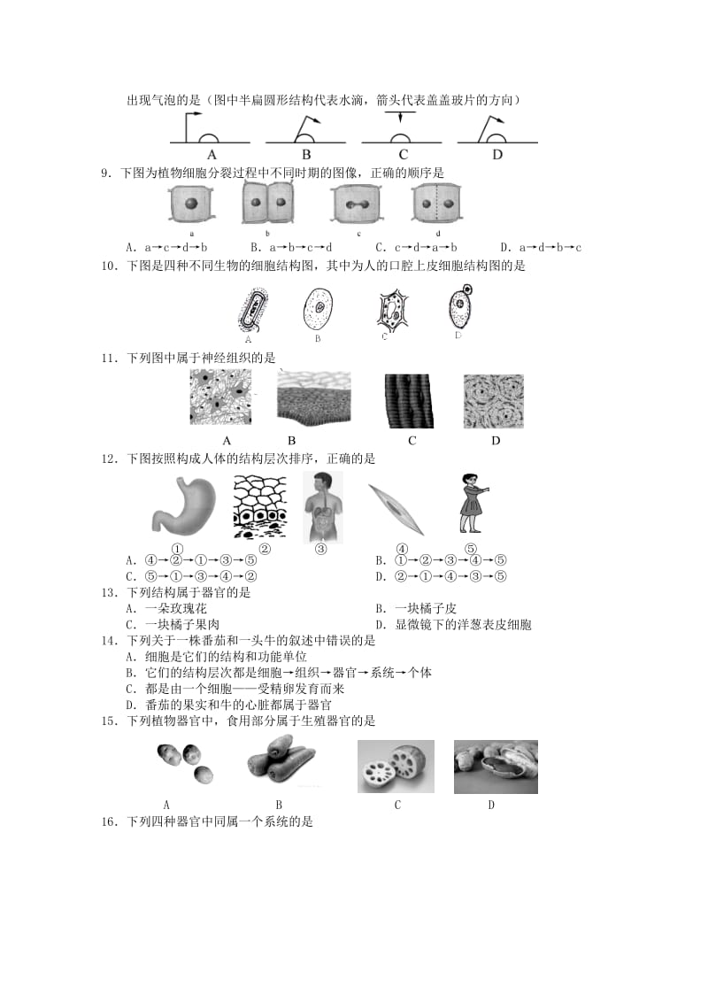 2019版七年级生物上学期期中试题苏教版.doc_第2页