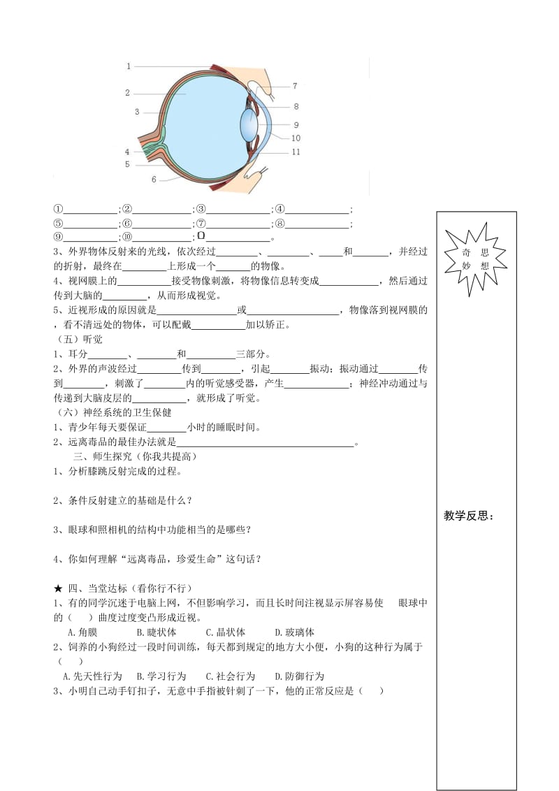 2019-2020年九年级生物《第五章人体生命活动的调节》学案（2）.doc_第2页