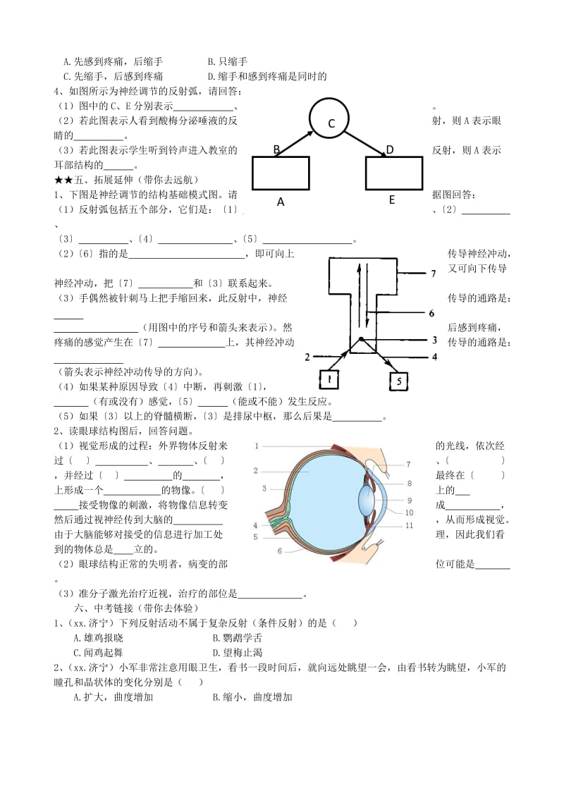 2019-2020年九年级生物《第五章人体生命活动的调节》学案（2）.doc_第3页