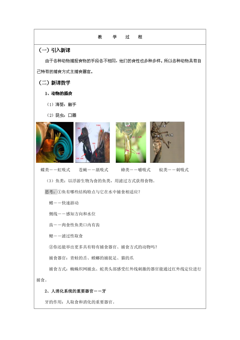 2019-2020年九年级科学上册 4.1食物与摄食教案3 浙教版.doc_第2页