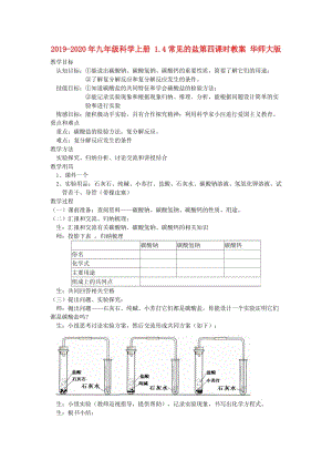 2019-2020年九年級科學上冊 1.4常見的鹽第四課時教案 華師大版.doc