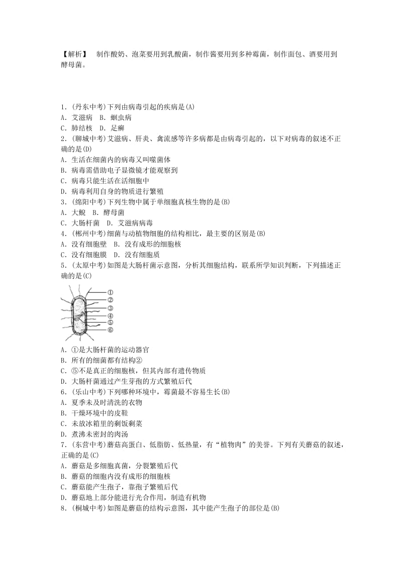 2019年中考生物总复习 主题七 生物的多样性 课时19 生物圈中的微生物.doc_第2页