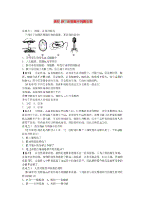 2019年中考生物總復(fù)習(xí) 主題七 生物的多樣性 課時19 生物圈中的微生物.doc