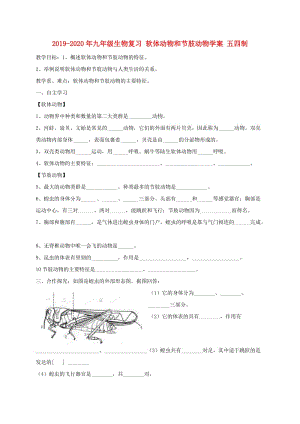 2019-2020年九年級(jí)生物復(fù)習(xí) 軟體動(dòng)物和節(jié)肢動(dòng)物學(xué)案 五四制.doc