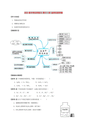 2019版中考化學(xué)復(fù)習(xí) 第十一講 鹽和化肥學(xué)案.doc