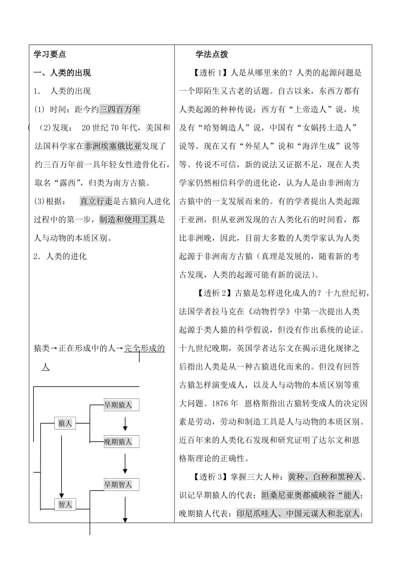 2019-2020年九年级历史上册 第一单元 人类文明的开端 复习学案 人教新课标版.doc_第2页