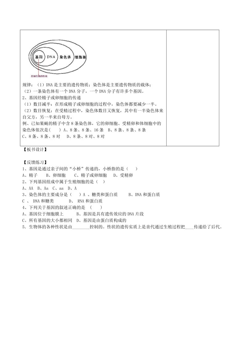 山东泰安市八年级生物下册 8.2.3基因在亲子代之间的传递学案 鲁教版五四制.doc_第3页