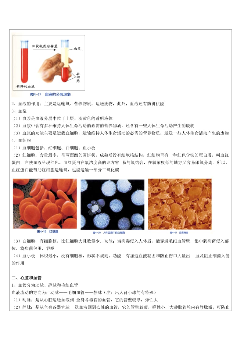 2019-2020年九年级科学部分 第11讲 代谢与平衡（二） 浙教版.doc_第2页