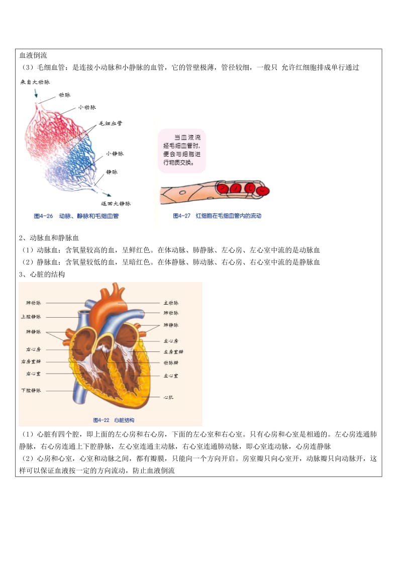 2019-2020年九年级科学部分 第11讲 代谢与平衡（二） 浙教版.doc_第3页