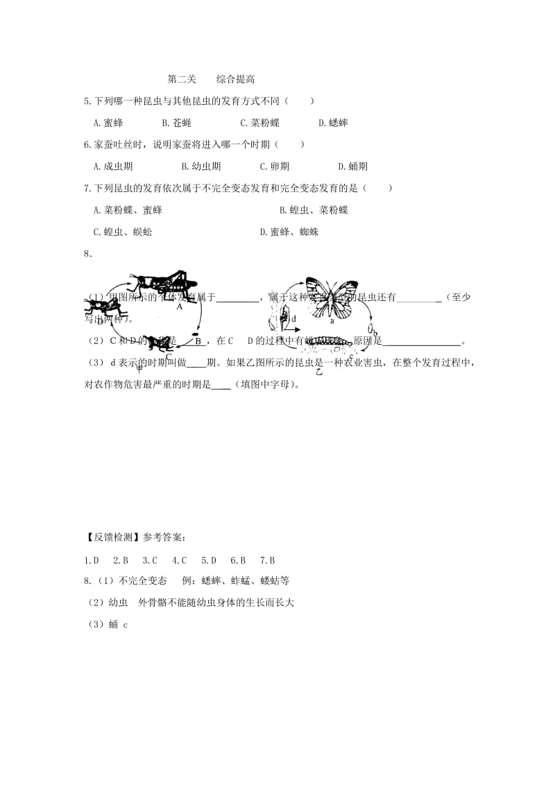 八年级生物上册 4.2.1《昆虫的生殖和发育》导学案2（新版）济南版.doc_第3页