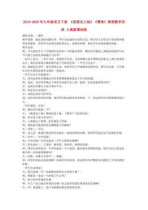 2019-2020年九年级语文下册 《我爱这土地》《赞美》课堂教学实录 人教新课标版.doc