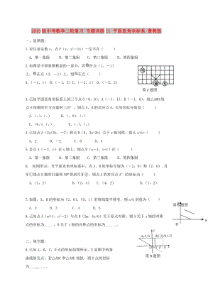 2019版中考數(shù)學(xué)二輪復(fù)習(xí) 專題訓(xùn)練11 平面直角坐標(biāo)系 魯教版.doc