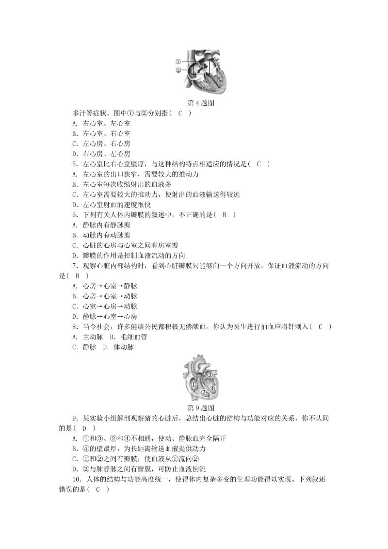 2019-2020年九年级科学上册 第4章 代谢与平衡 第3节 体内物质的运输 第2课时 心脏练习 （新版）浙教版.doc_第2页