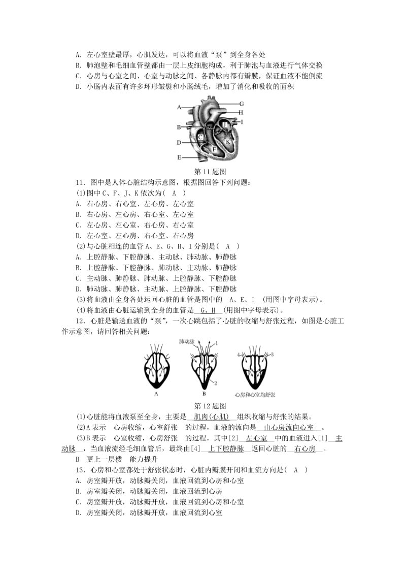 2019-2020年九年级科学上册 第4章 代谢与平衡 第3节 体内物质的运输 第2课时 心脏练习 （新版）浙教版.doc_第3页