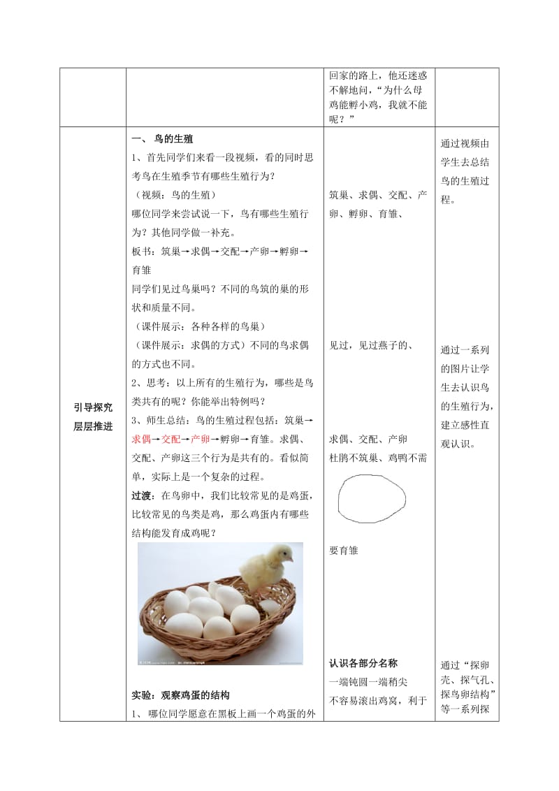 2019-2020年八年级生物上册 第四单元 第二章 第三节 鸟的生殖和发育教案 济南版.doc_第2页