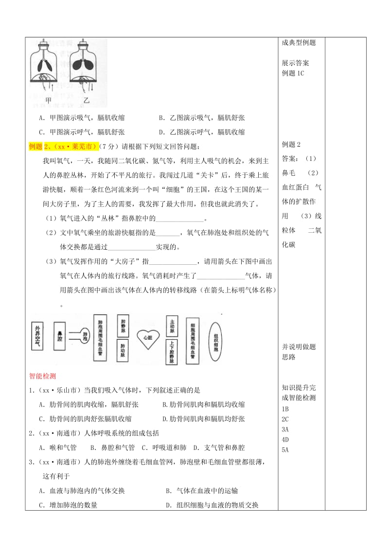 2019-2020年九年级生物上册《人体的呼吸》教案 新人教版.doc_第2页