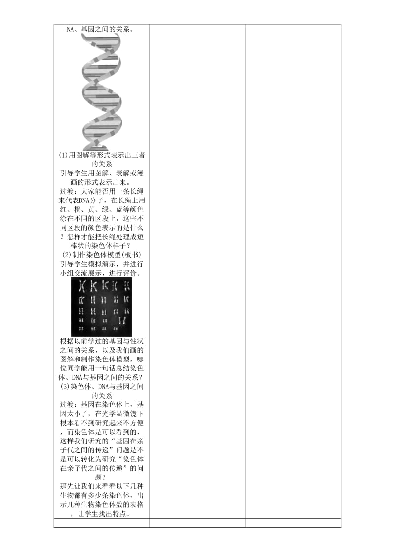 2019-2020年八年级生物下册第七单元第二章第二节基因在亲子代间的传递教案新版新人教版 .doc_第3页