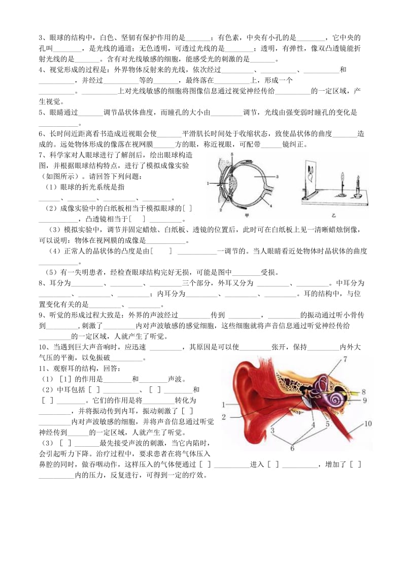 2019-2020年八年级生物下册 第六章 第一节 人体对外界环境的感知（第3课时）教学案（无答案）（新版）鲁科版.doc_第2页