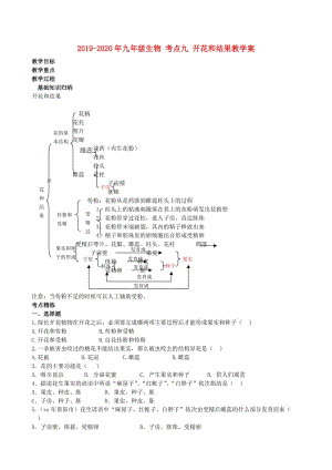 2019-2020年九年級生物 考點(diǎn)九 開花和結(jié)果教學(xué)案.doc