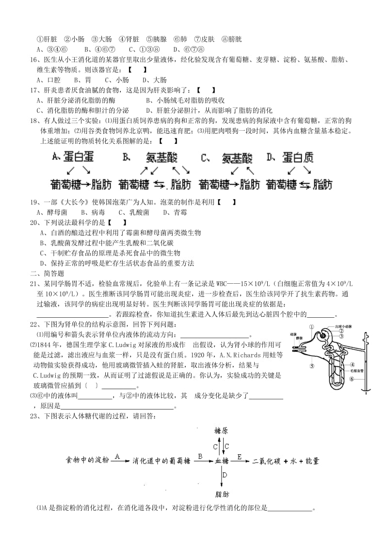 2019-2020年九年级科学上册第4章代谢与平衡综合测试题新版浙教版.doc_第2页