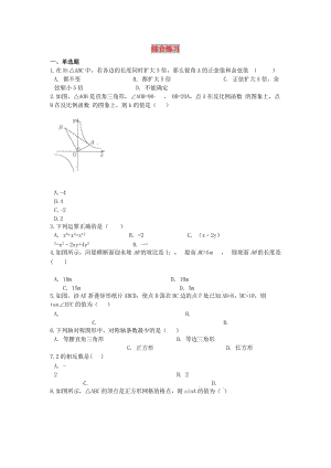 2019中考數學 能力提升綜合練習（含解析）.doc