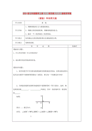 2019版七年級數學上冊 5.1 相交線 5.1.2 垂線導學案（新版）華東師大版.doc