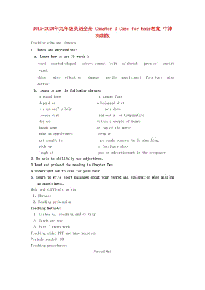 2019-2020年九年級(jí)英語(yǔ)全冊(cè) Chapter 2 Care for hair教案 牛津深圳版.doc